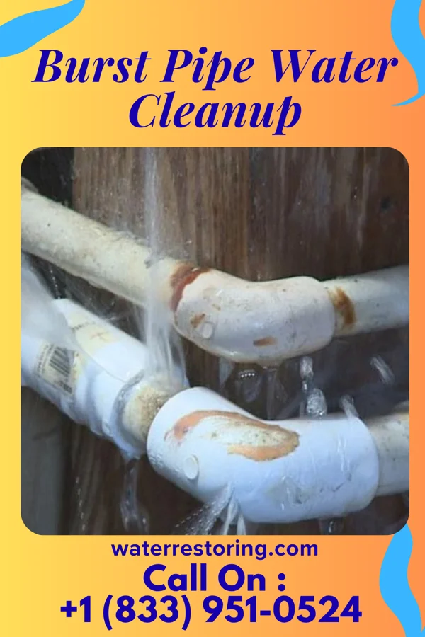Burst Pipe Water Cleanup in Santiago, WA