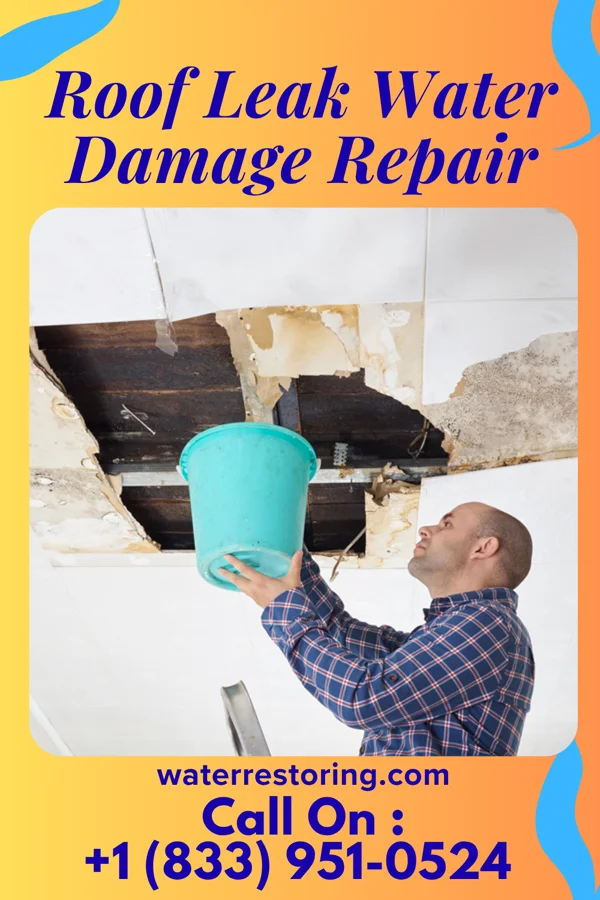 Roof Leak Water Damage Repair in Santiago, WA